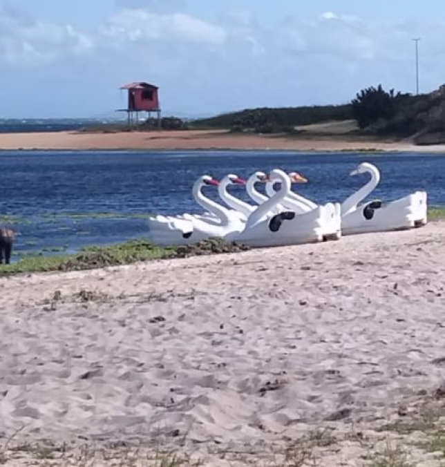 Lagoa 2