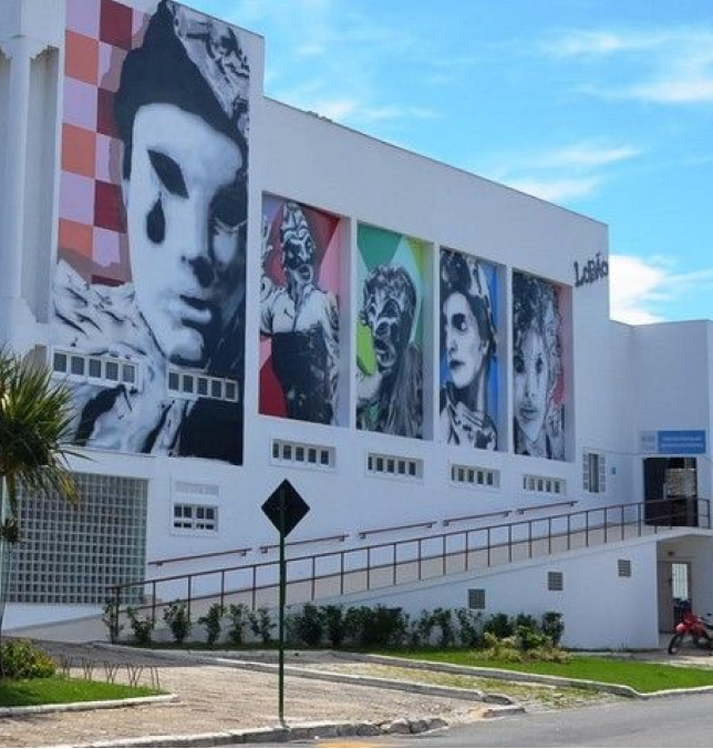 Cultura 6