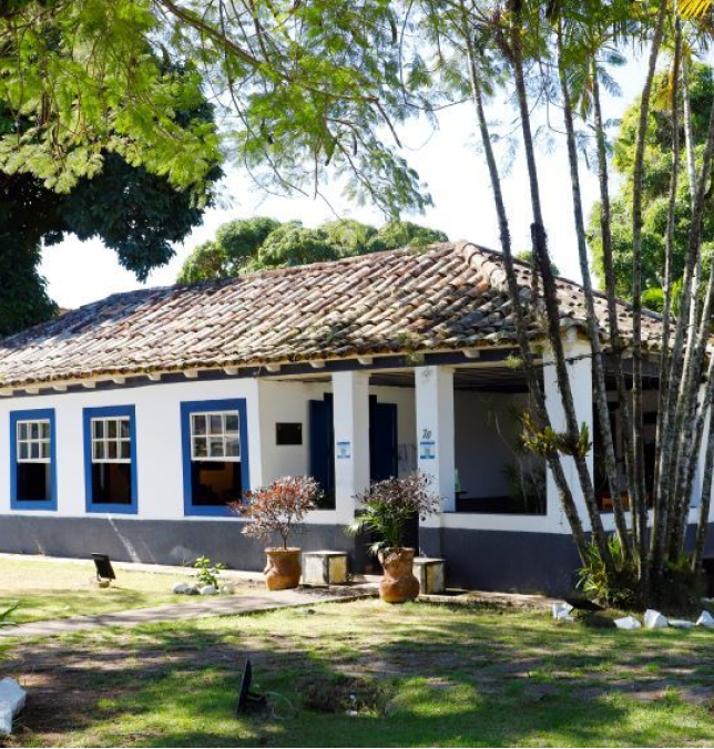 Cultura 8